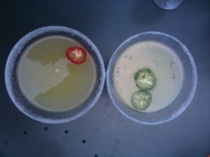 LocaHot Margarita
